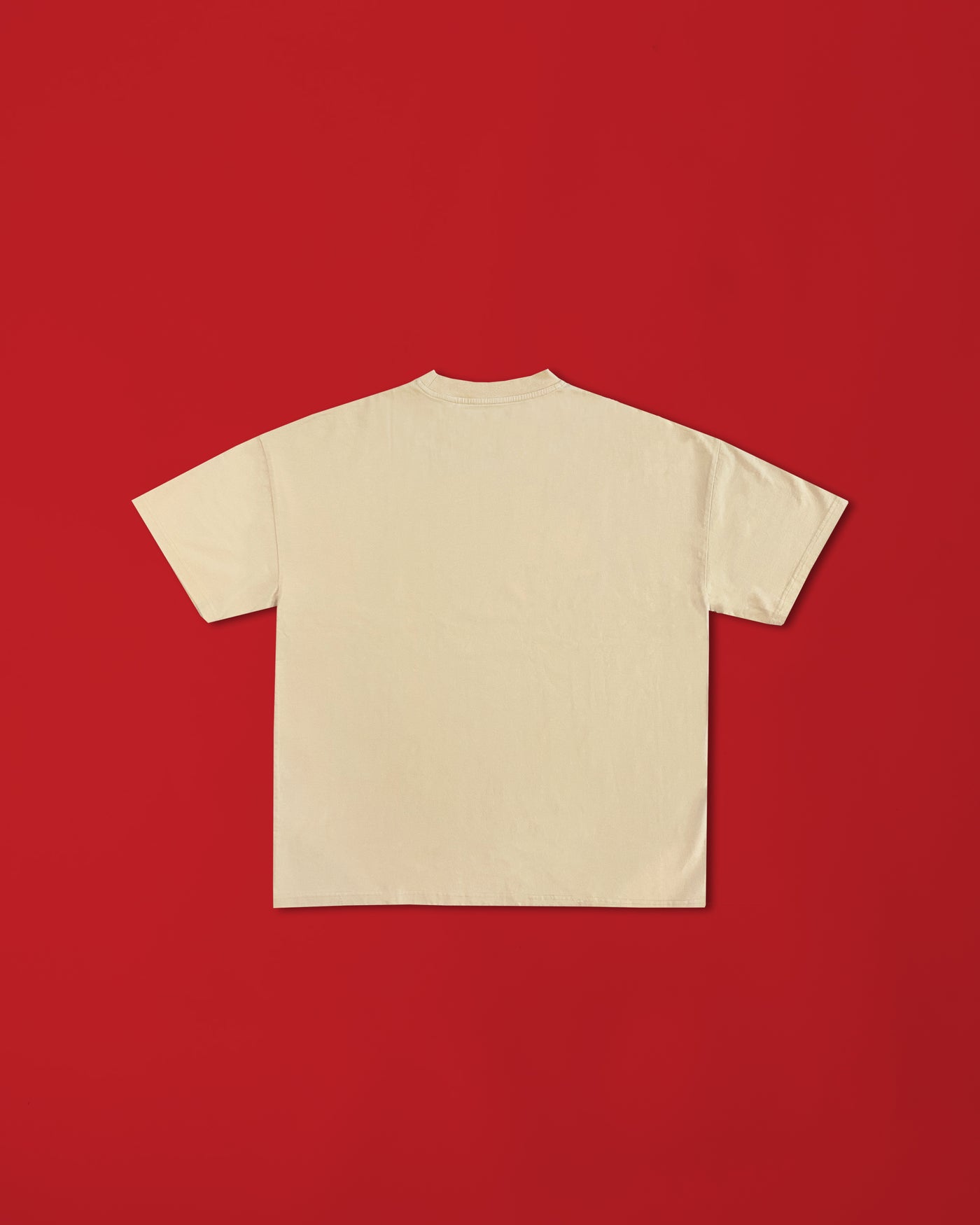 "Dora & SWYPER" T-Shirt